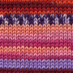 Calzasocks Ft KnitCol Design